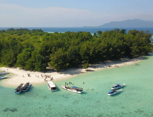 Pantai Menjangan Besar, Pesona Laut dan Wisata Hiu Jinak di Karimunjawa
