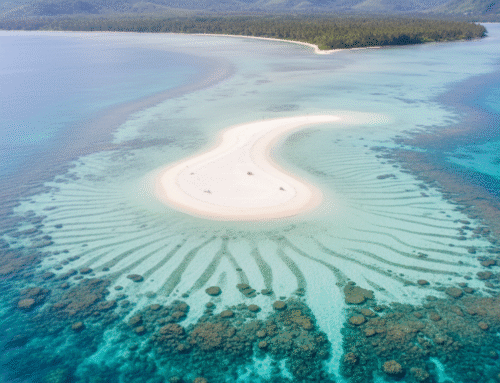 Eksplorasi Gosong Cemara, Destinasi Favorit Wisata Karimunjawa